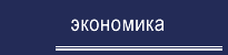 section_economics.gif